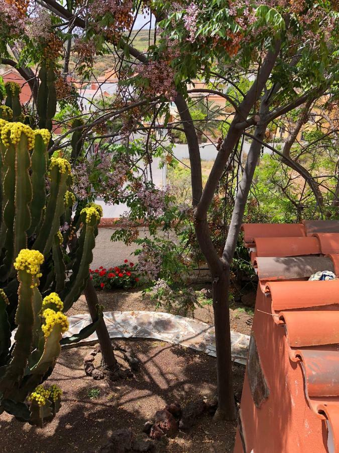 Chalet La Cepa Las Palmas de Gran Canaria Bagian luar foto